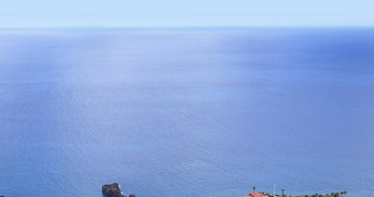 PSP detém homem em Câmara de Lobos com vários tipos de droga