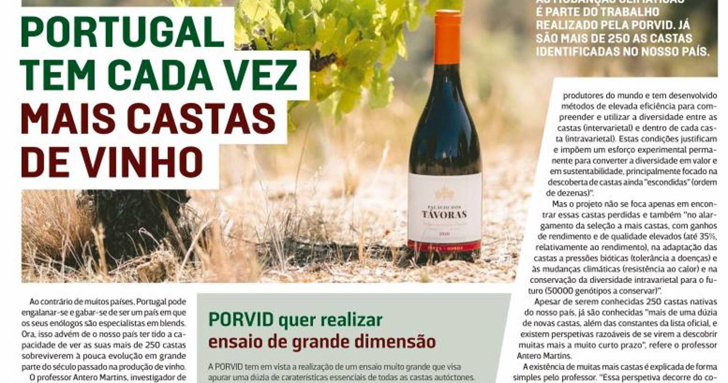 Domingo 29 de janeiro de 2023