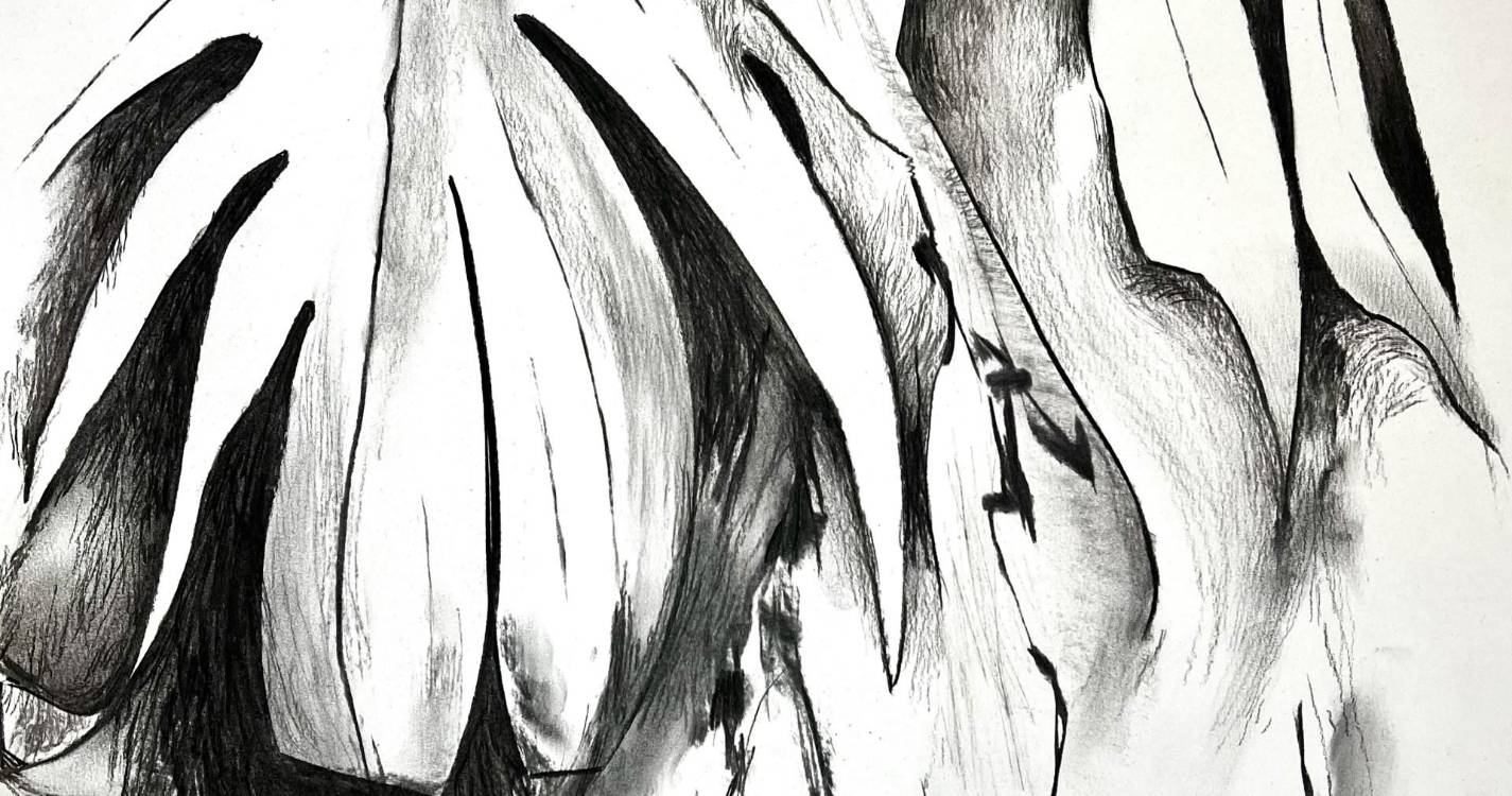 Exposição ‘entre a flor e a pele’, de Miguel Sobral, patente na Galeria Francisco Franco