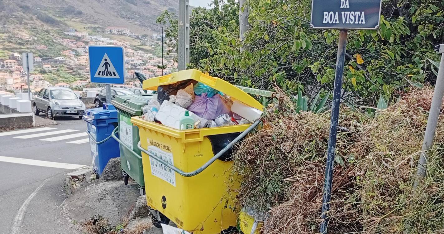 Ratos, insetos e mau cheiro nos lixos em Machico