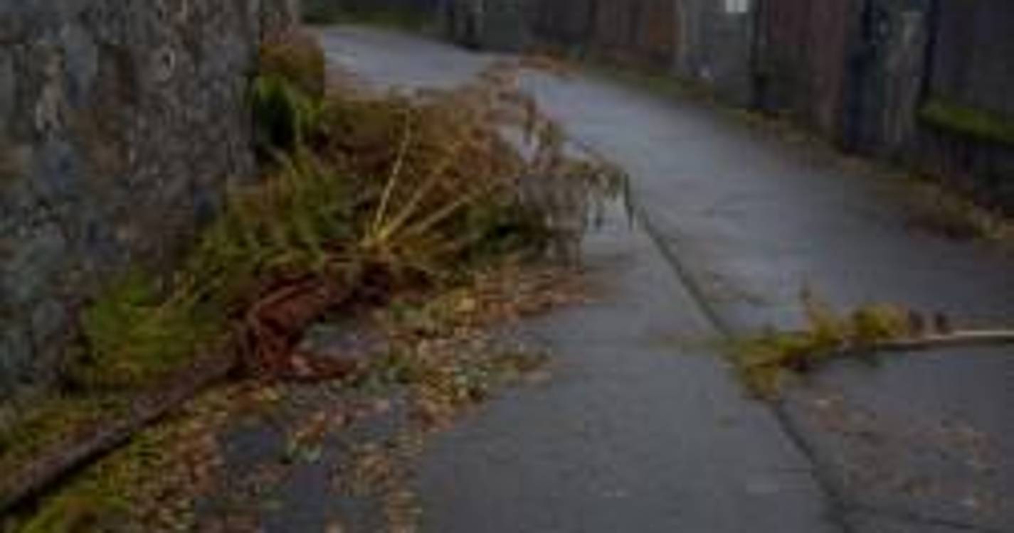 Nova Direita questiona falta de limpeza nas ruas do Monte após temporal ‘Emília’