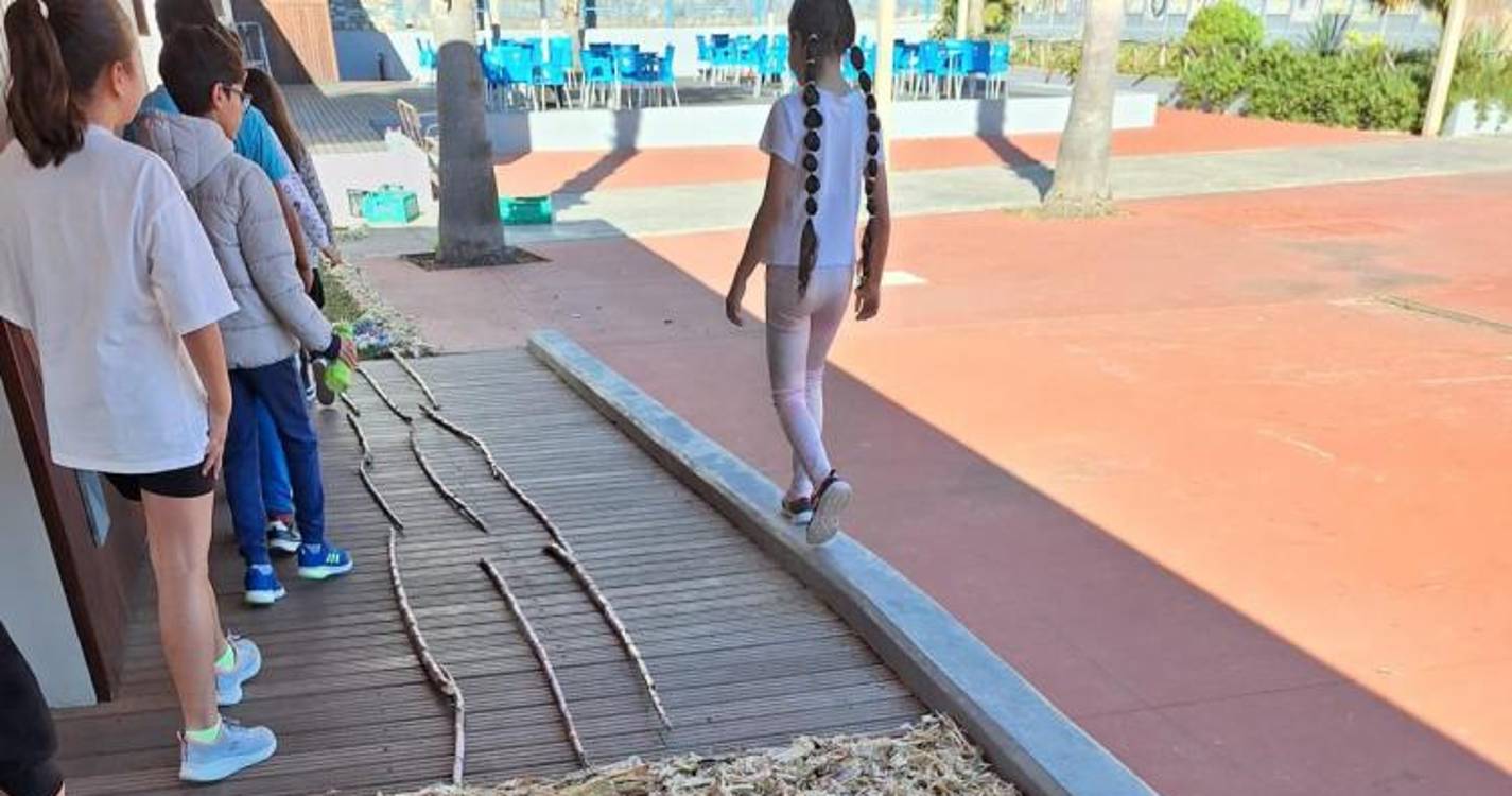 Veja o Muro da Esperança construído por alunos no Engenho do Porto da Cruz (com fotos)