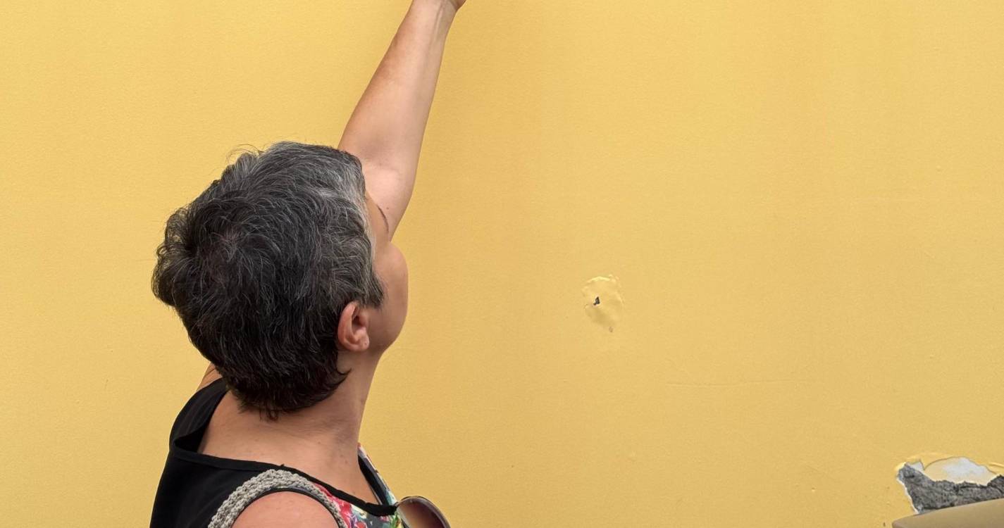 Autárquicas: BE defende campanhas de esterilização em massa de cães e gatos