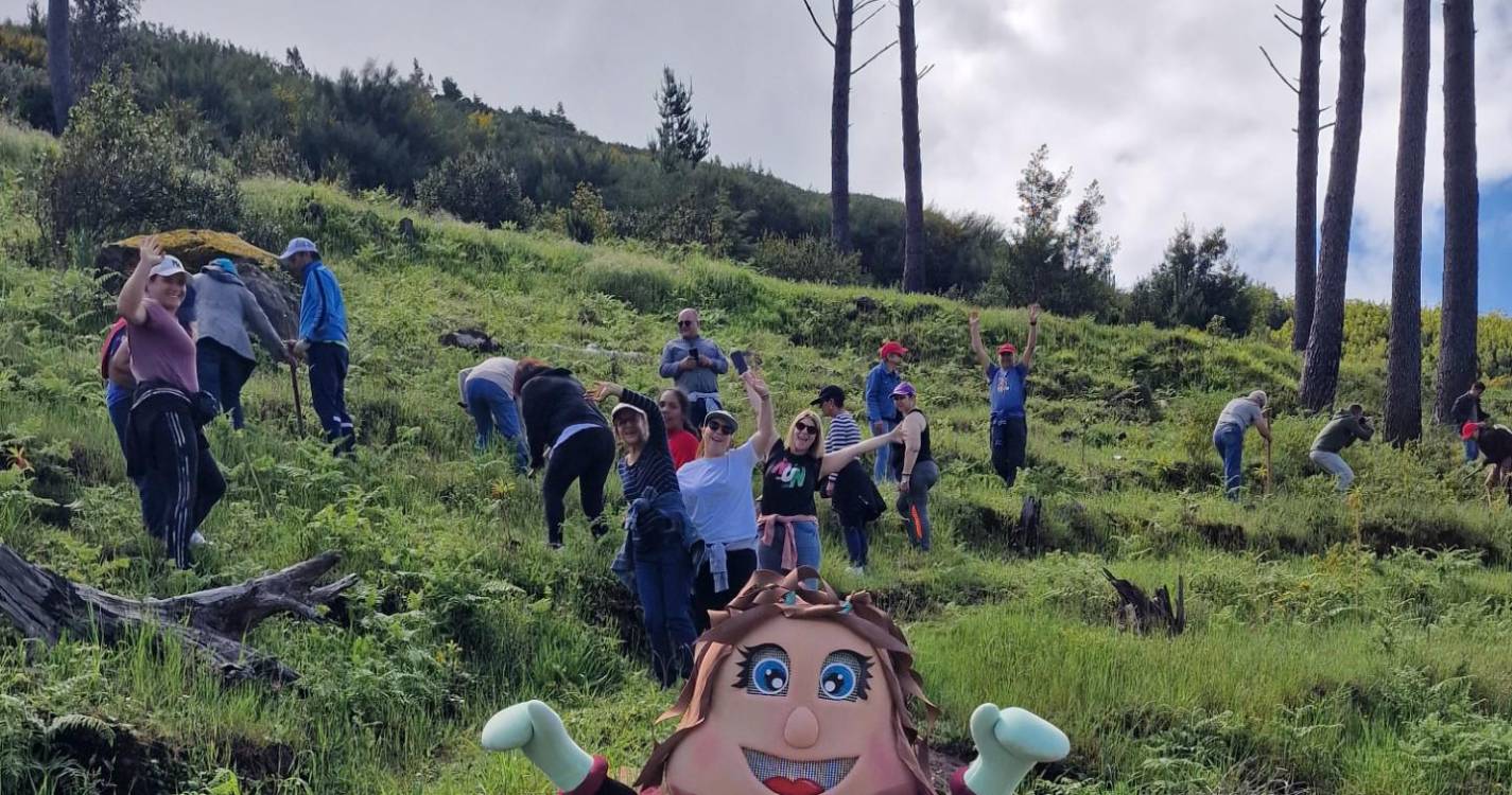 Irmãs Hospitaleiras plantam 100 árvores no Parque Ecológico