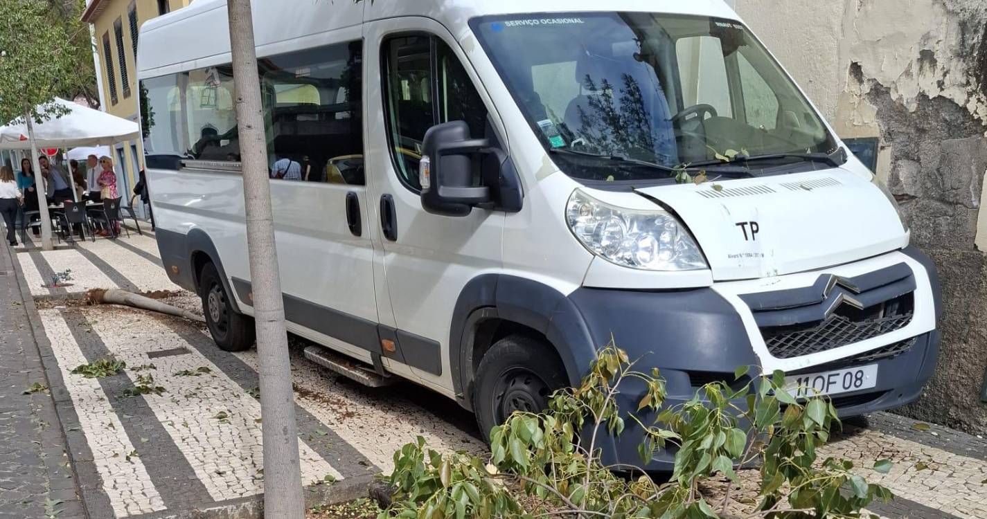 Carrinha sobe passeio e derruba árvore e poste de luz no Funchal