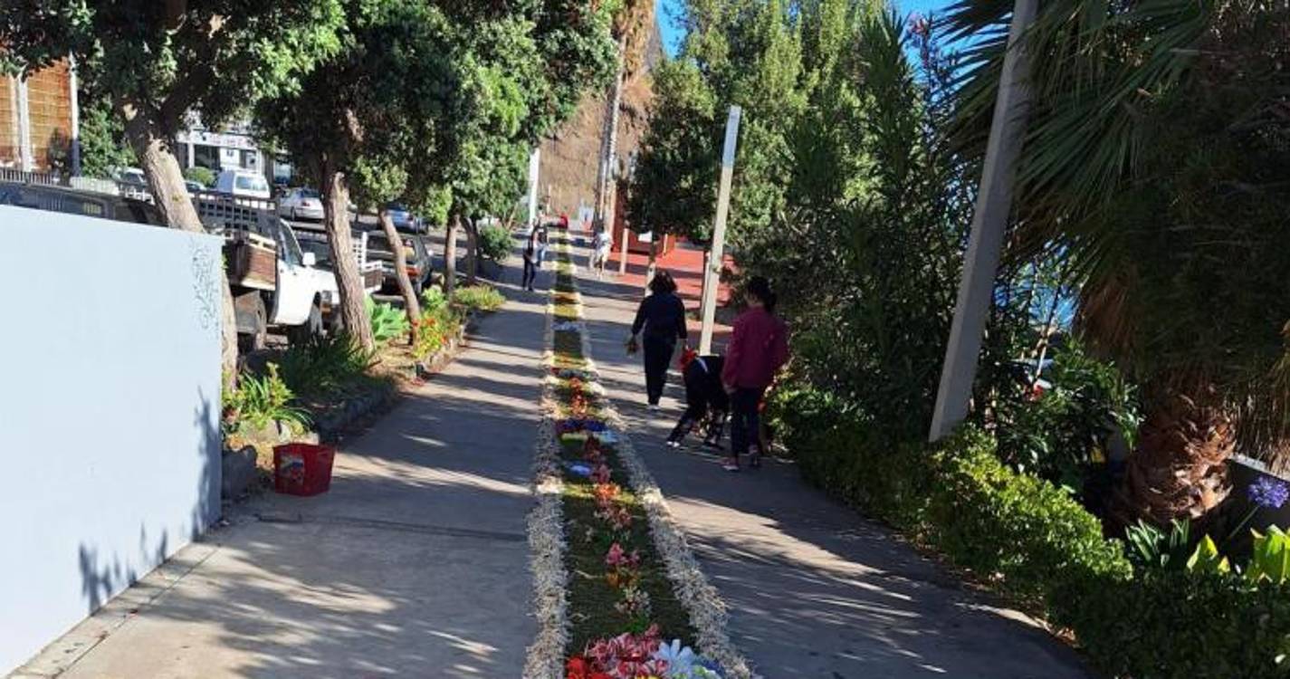 Veja o Muro da Esperança construído por alunos no Engenho do Porto da Cruz (com fotos)