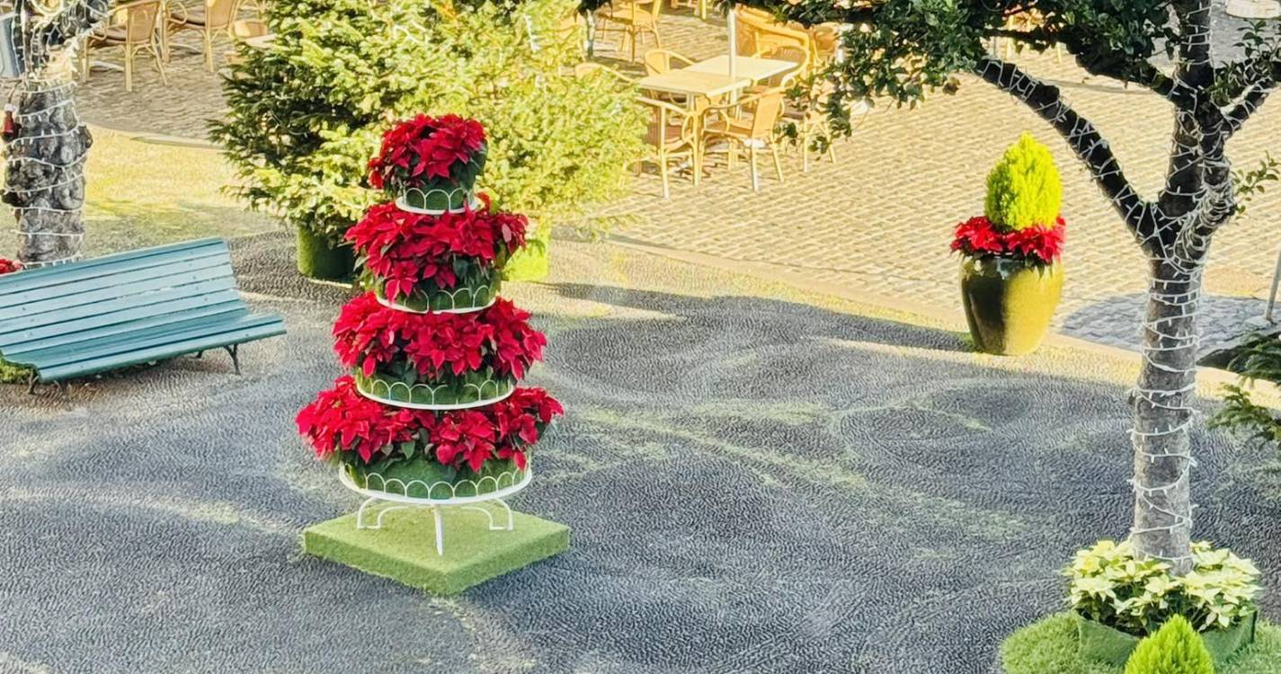 Furtadas Manhãs de Páscoa das decorações de Santa Cruz