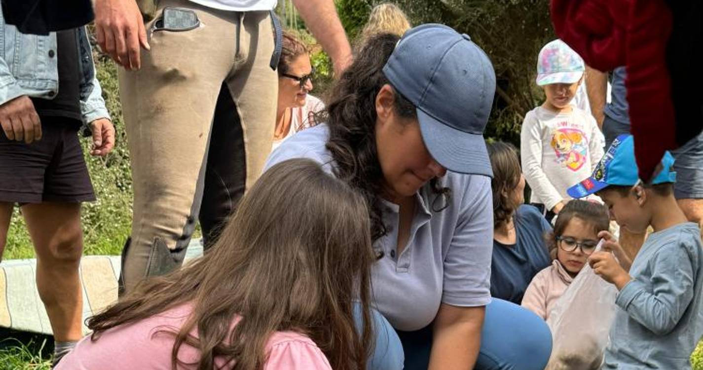 Cinquenta crianças foram às tosquias na Quinta da Caldeira