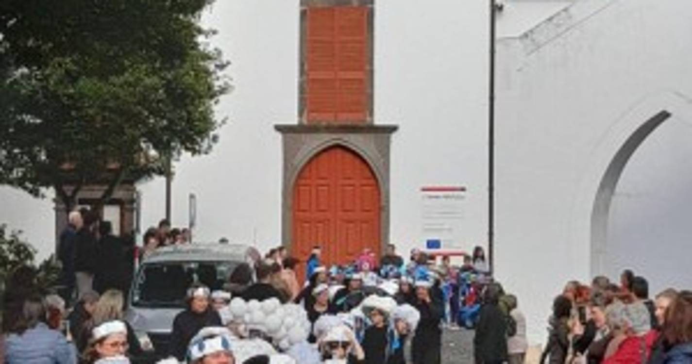 Veja como foi o desfile de carnaval das escolas em Santa Cruz (com fotos)