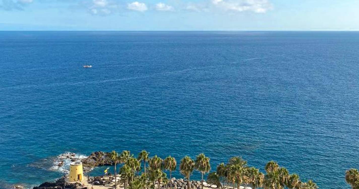 Fique a par da programação dos espaços Savoy Signature para estes dias