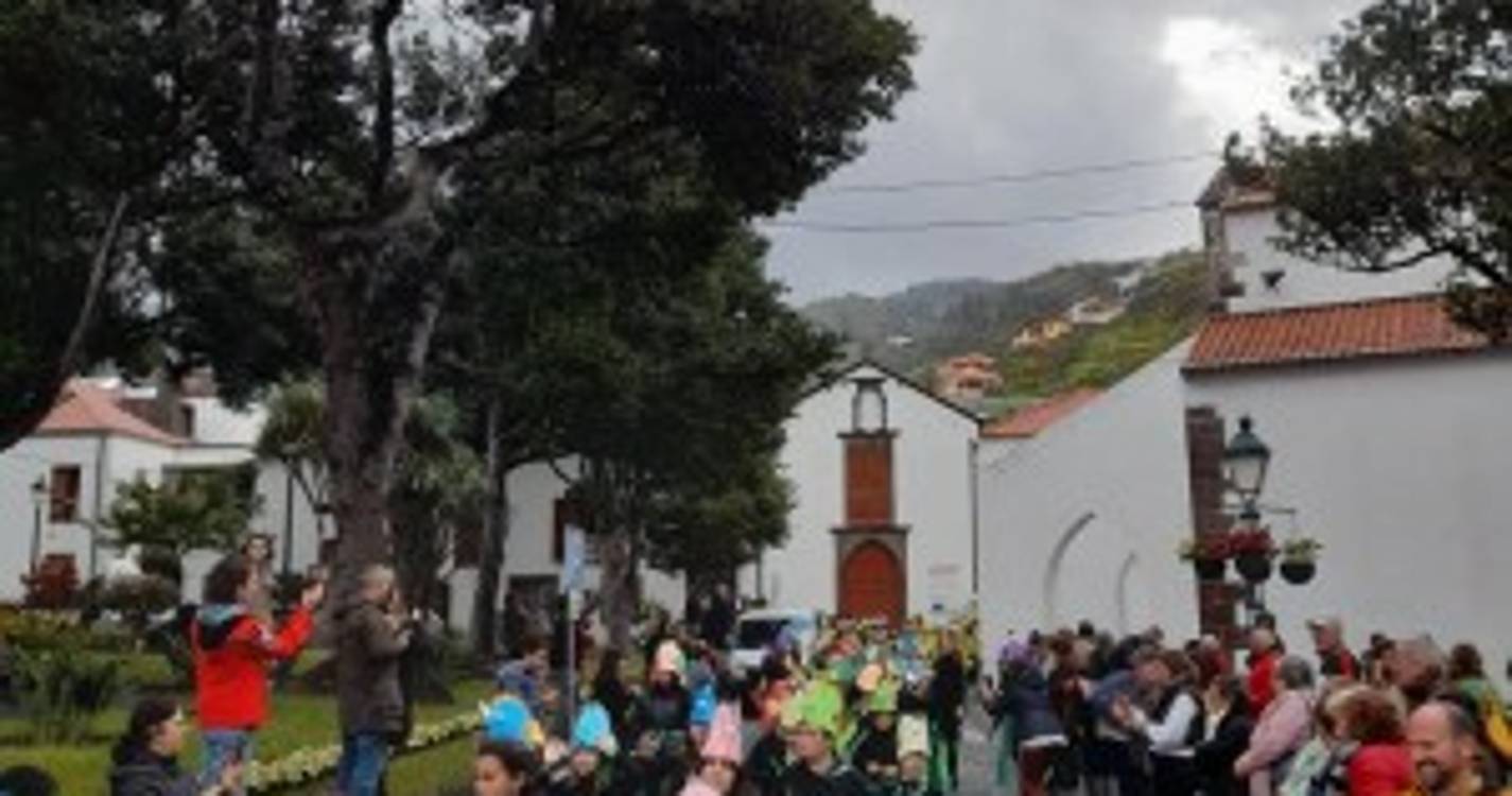 Veja como foi o desfile de carnaval das escolas em Santa Cruz (com fotos)