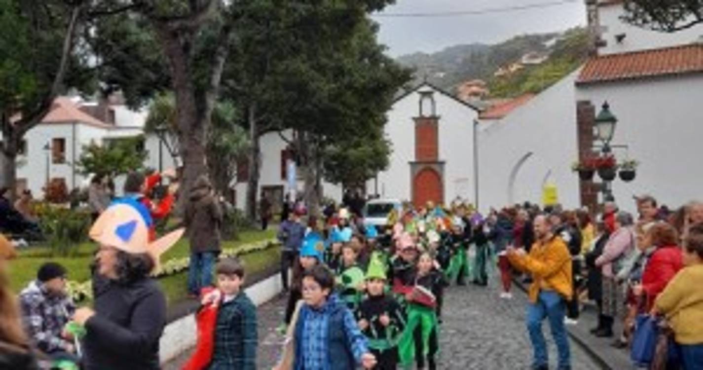 Veja como foi o desfile de carnaval das escolas em Santa Cruz (com fotos)