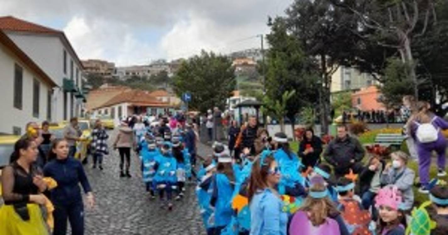 Veja como foi o desfile de carnaval das escolas em Santa Cruz (com fotos)