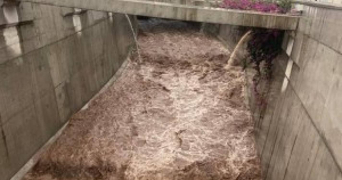 Ribeiras cheias no Funchal geram curiosidade (com fotos e vídeo)