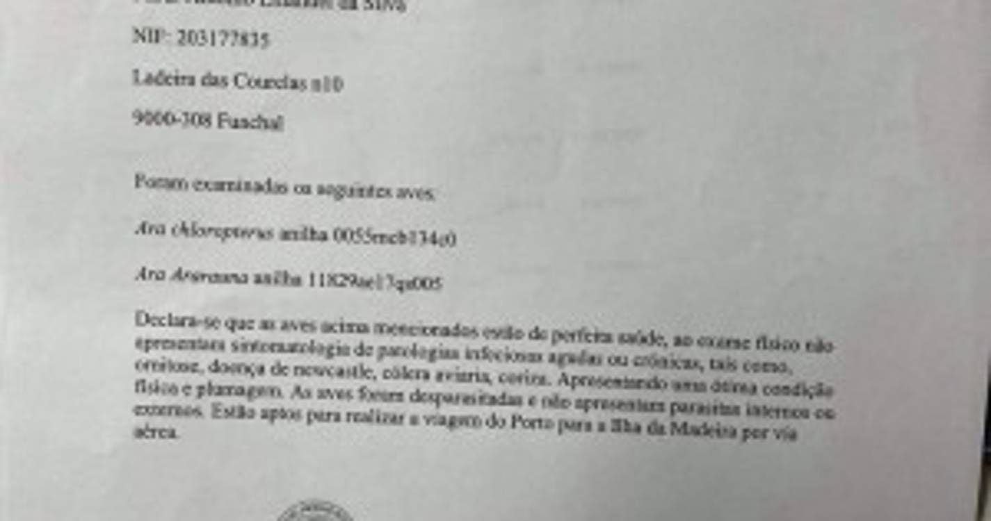 Dono das aves contesta autuação da GNR (com fotos)