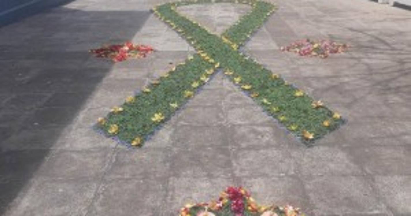 Estreito de Câmara de Lobos celebra Festa da Flor (com fotos)