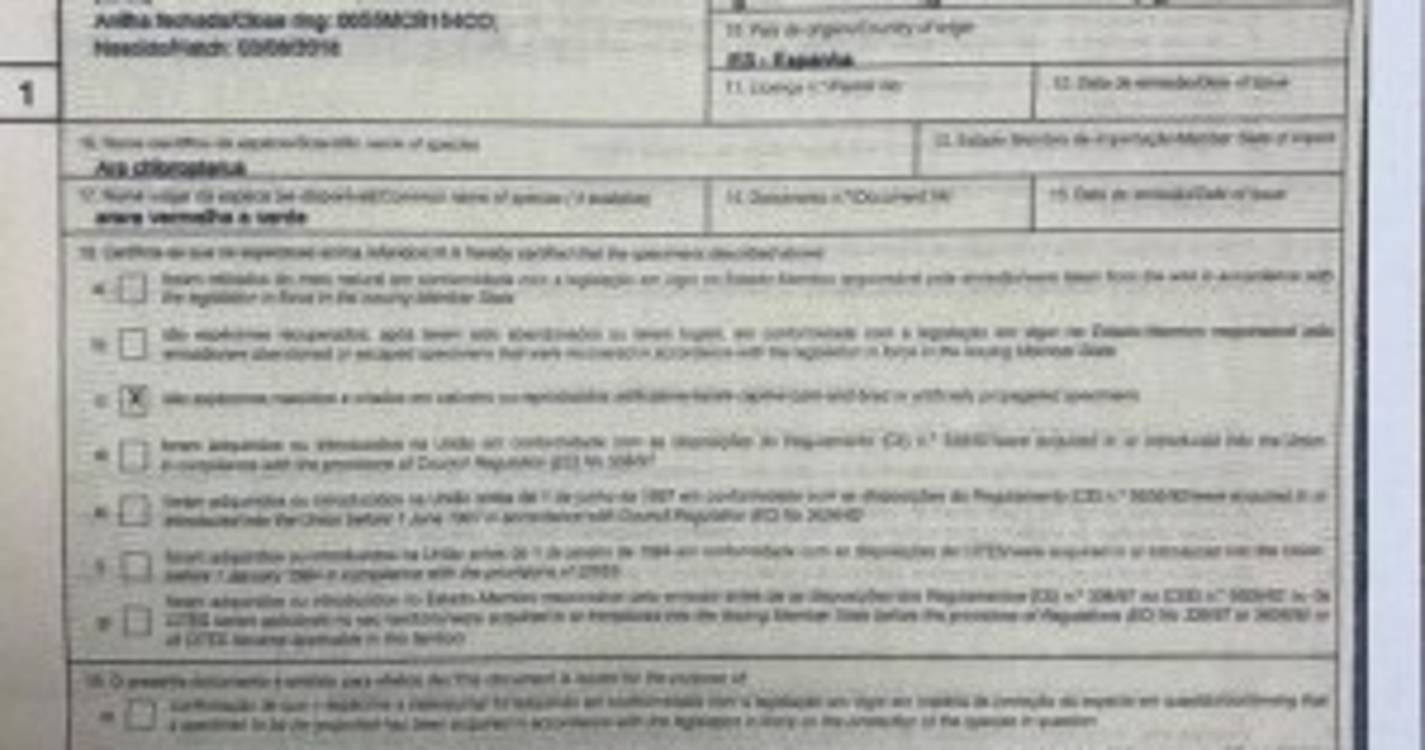 Dono das aves contesta autuação da GNR (com fotos)