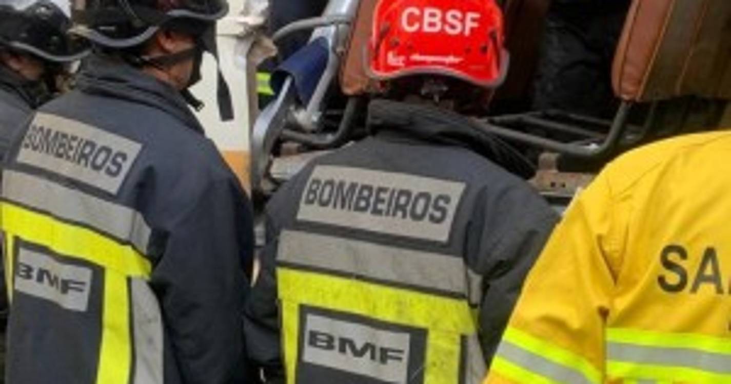 Bombeiros Sapadores testam ferramentas em treino operacional