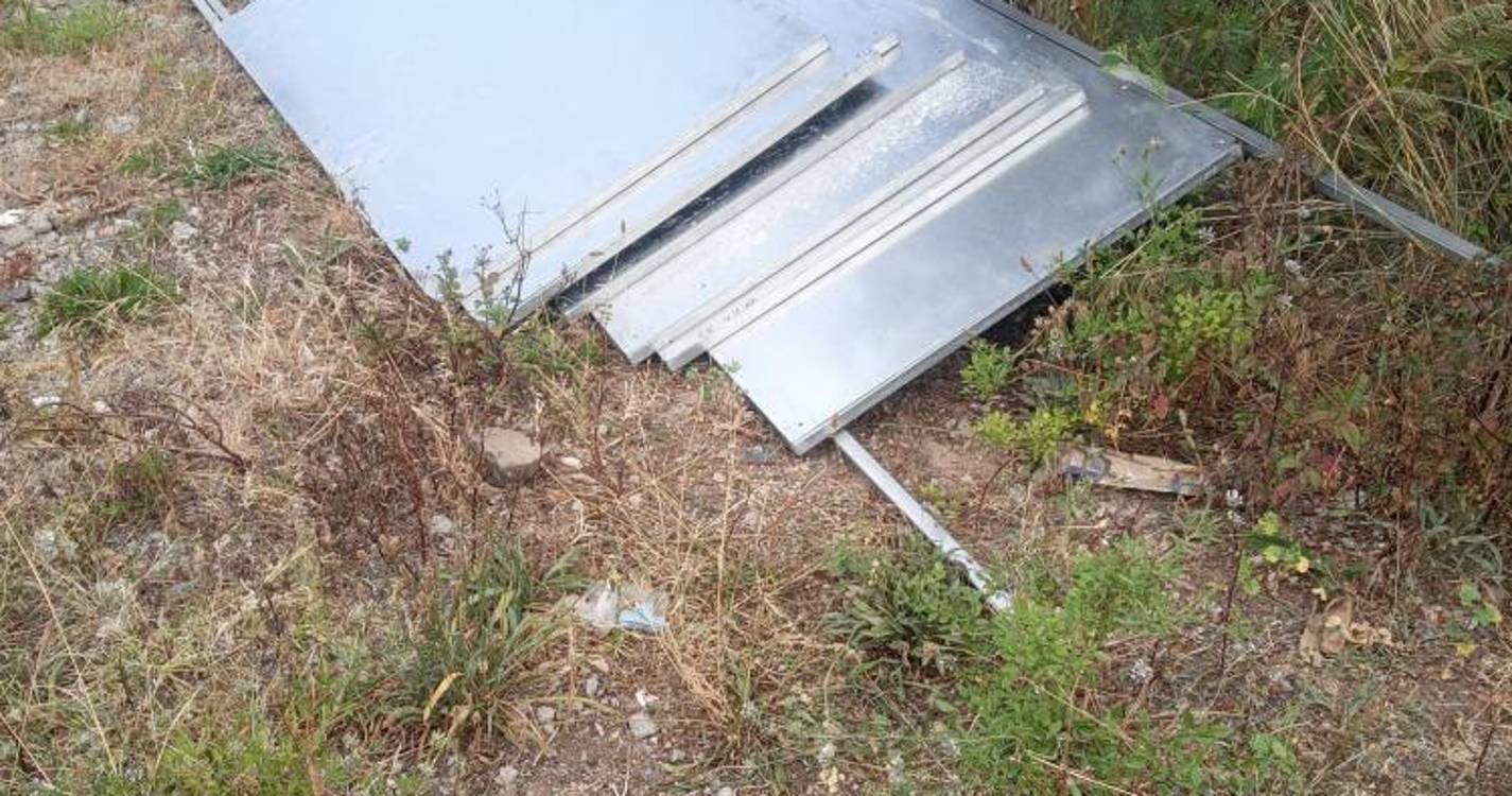Apanhado em flagrante a roubar estruturas para afixação de propaganda eleitoral