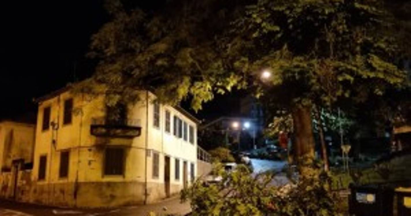 Queda de um ramo de árvore condiciona trânsito na Quinta Deão