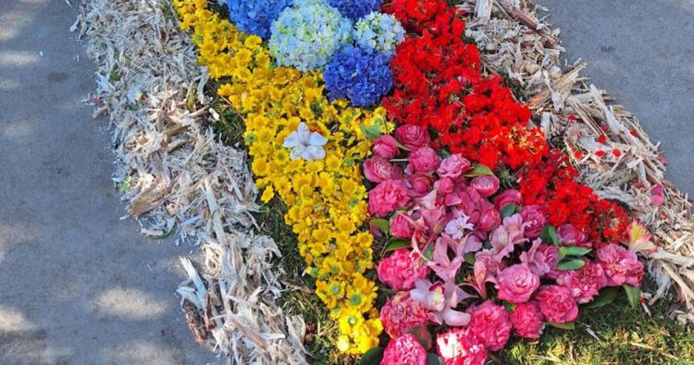 Veja o Muro da Esperança construído por alunos no Engenho do Porto da Cruz (com fotos)