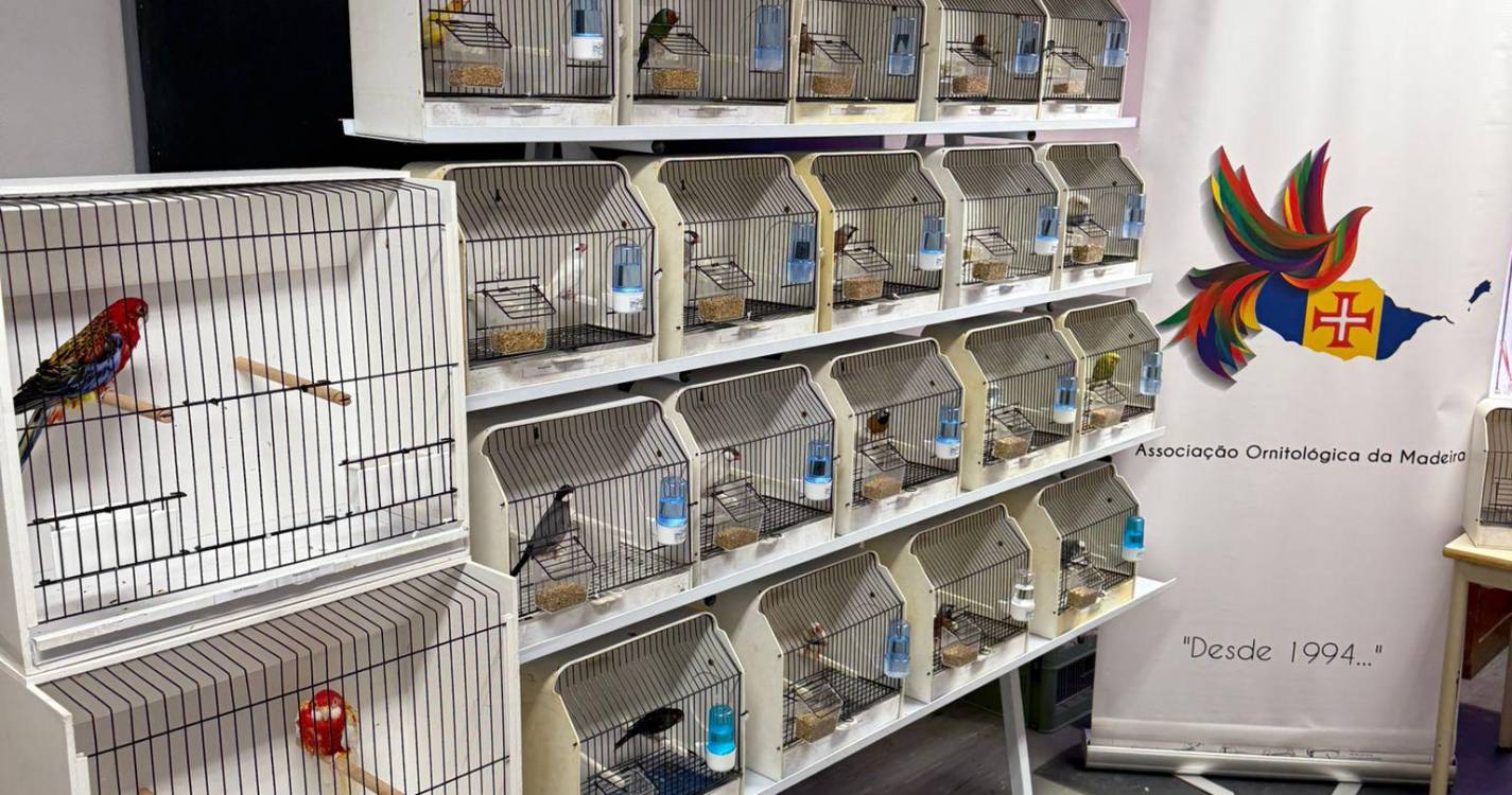 Associação Ornitológica sensibiliza crianças para importância da conservação das aves e biodiversidade