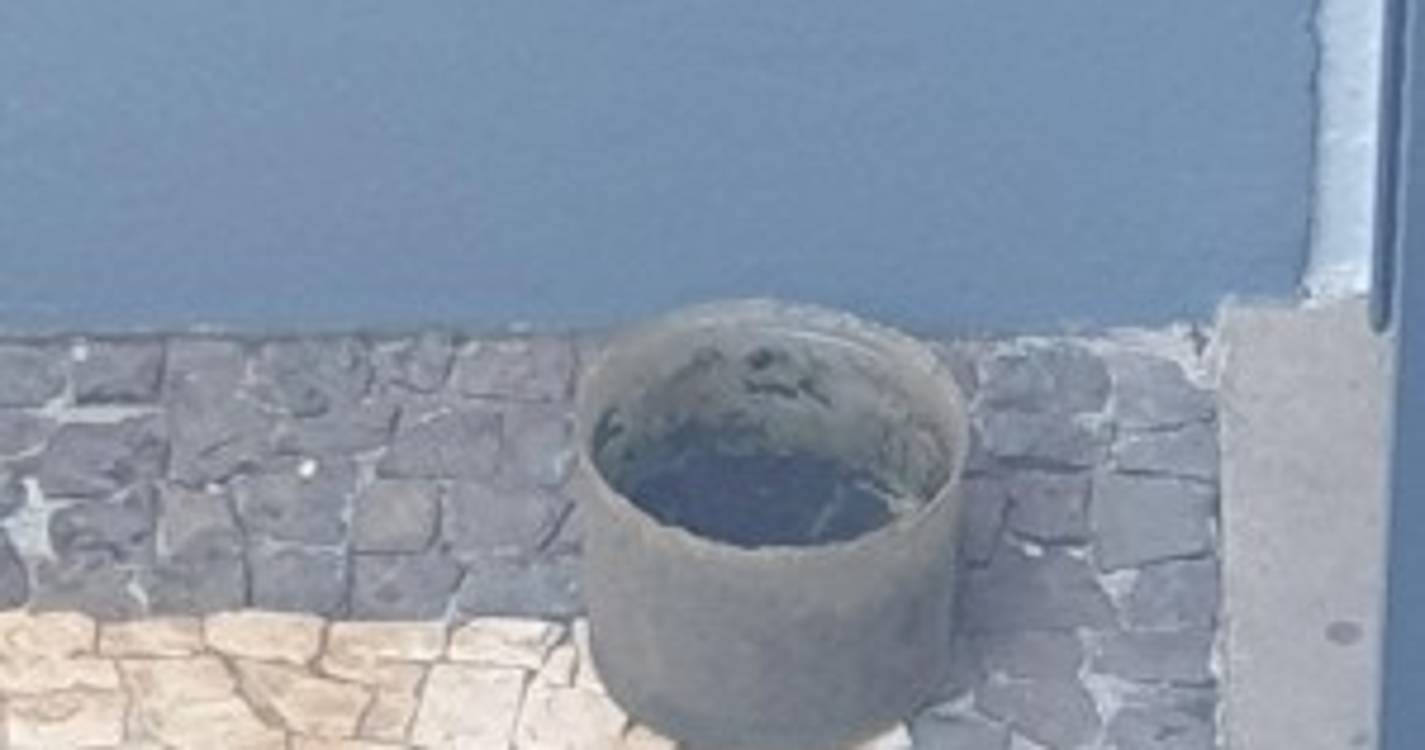 Ajuda Alimentar a Cães denuncia situação de negligência no Garajau