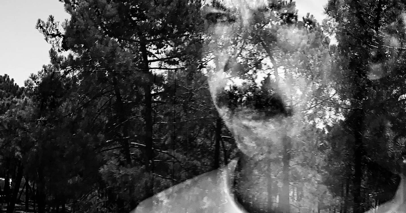 Festival Fractal regressa ao Funchal entre 20 e 28 de setembro