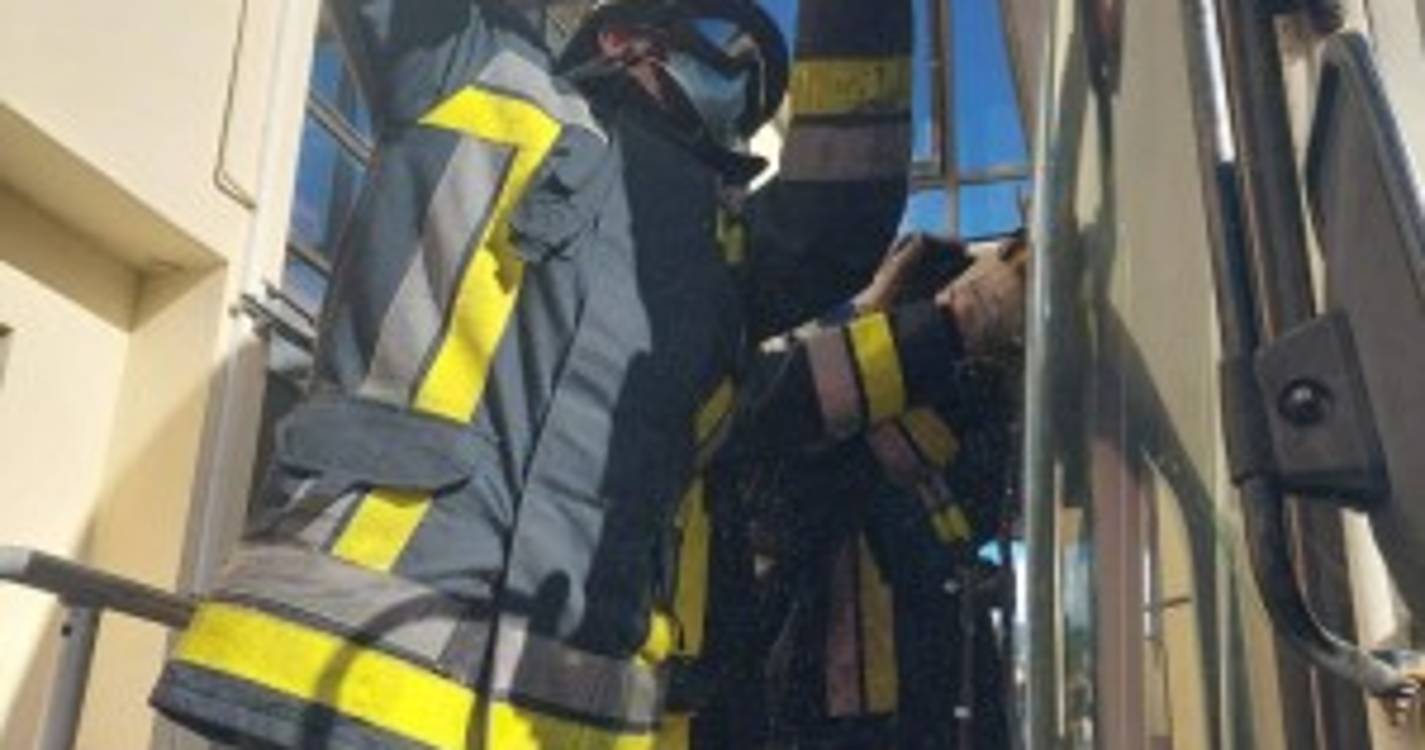 Bombeiros Sapadores testam ferramentas em treino operacional