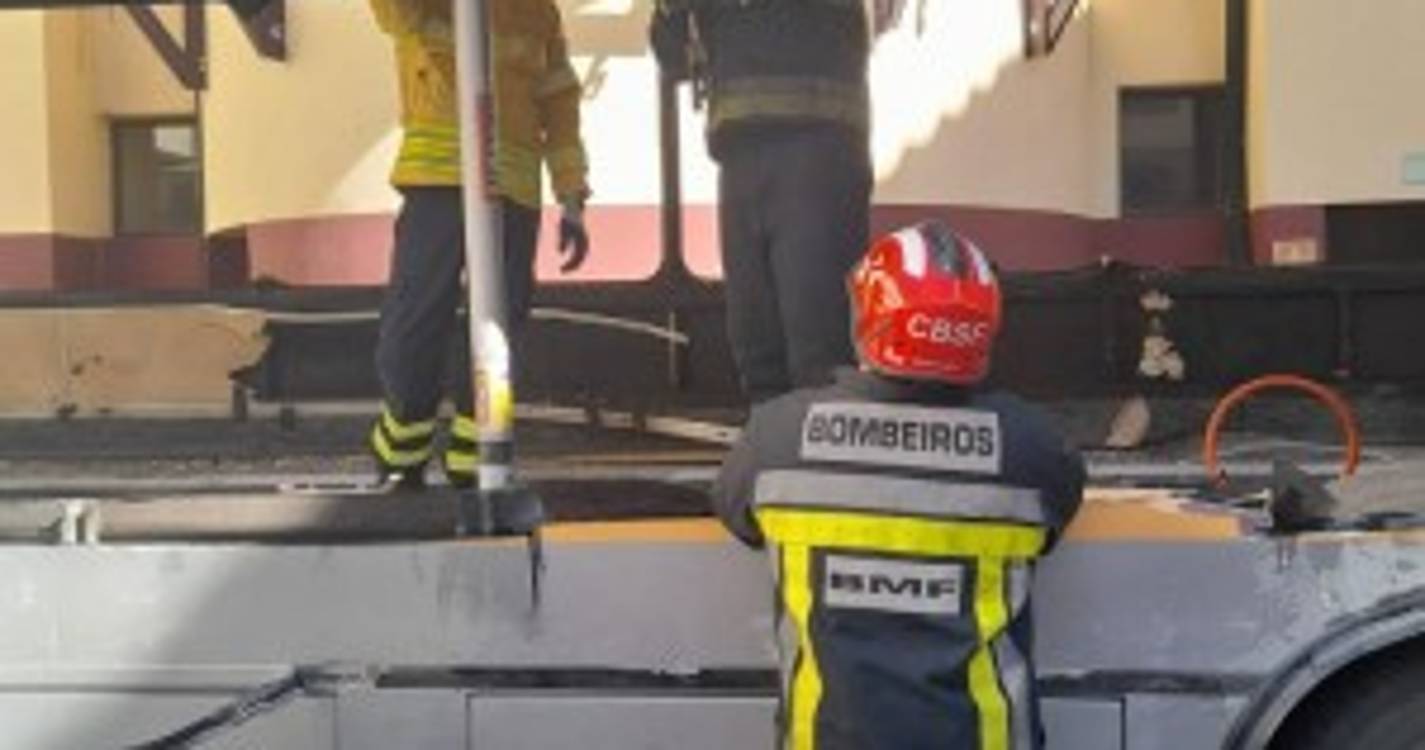 Bombeiros Sapadores testam ferramentas em treino operacional