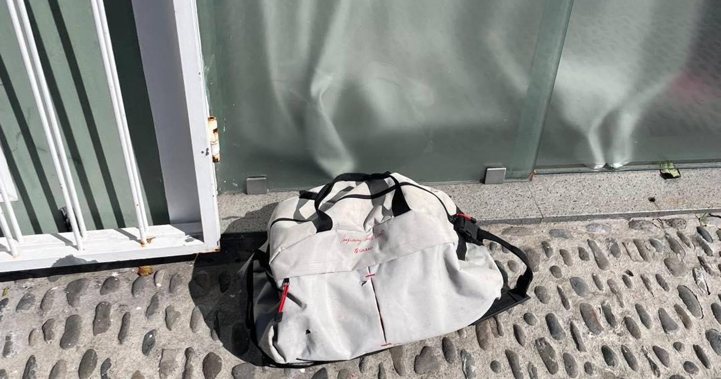 Gata abandonada à porta de associação no Funchal acaba ferida (com fotos)