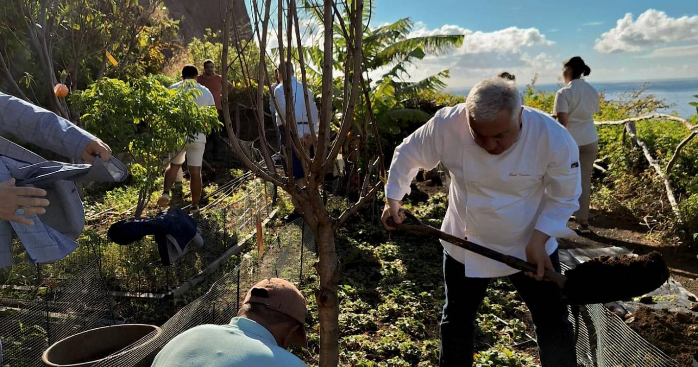 Savoy reforça compromisso ambiental com plantação de loureiros e árvores de fruto