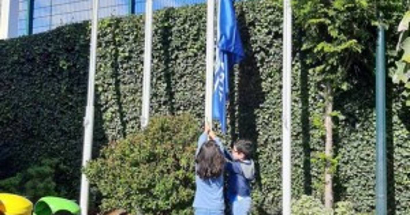 Bandeira Escola hasteada na EB1/PE do Boliqueime (com fotos)