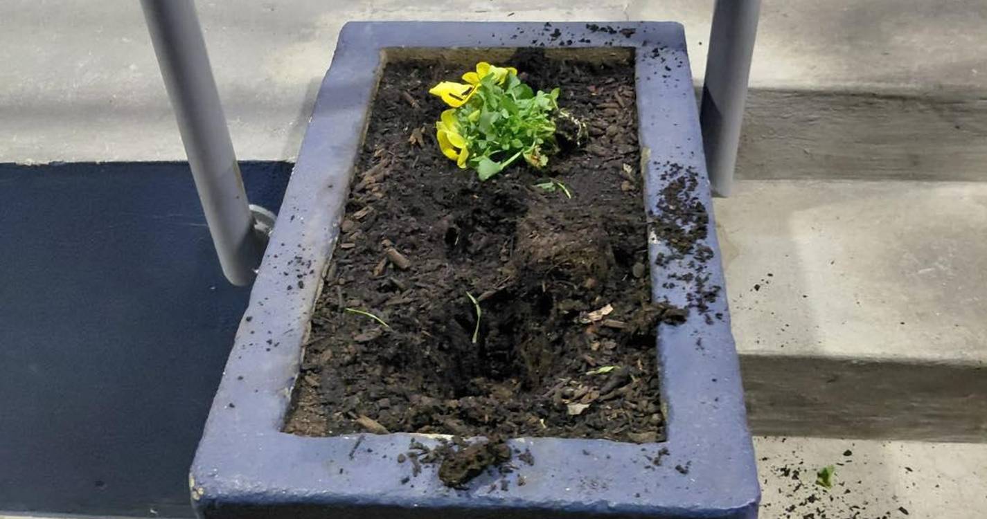 Junta de Freguesia da Camacha denuncia atos de roubo e vandalismo