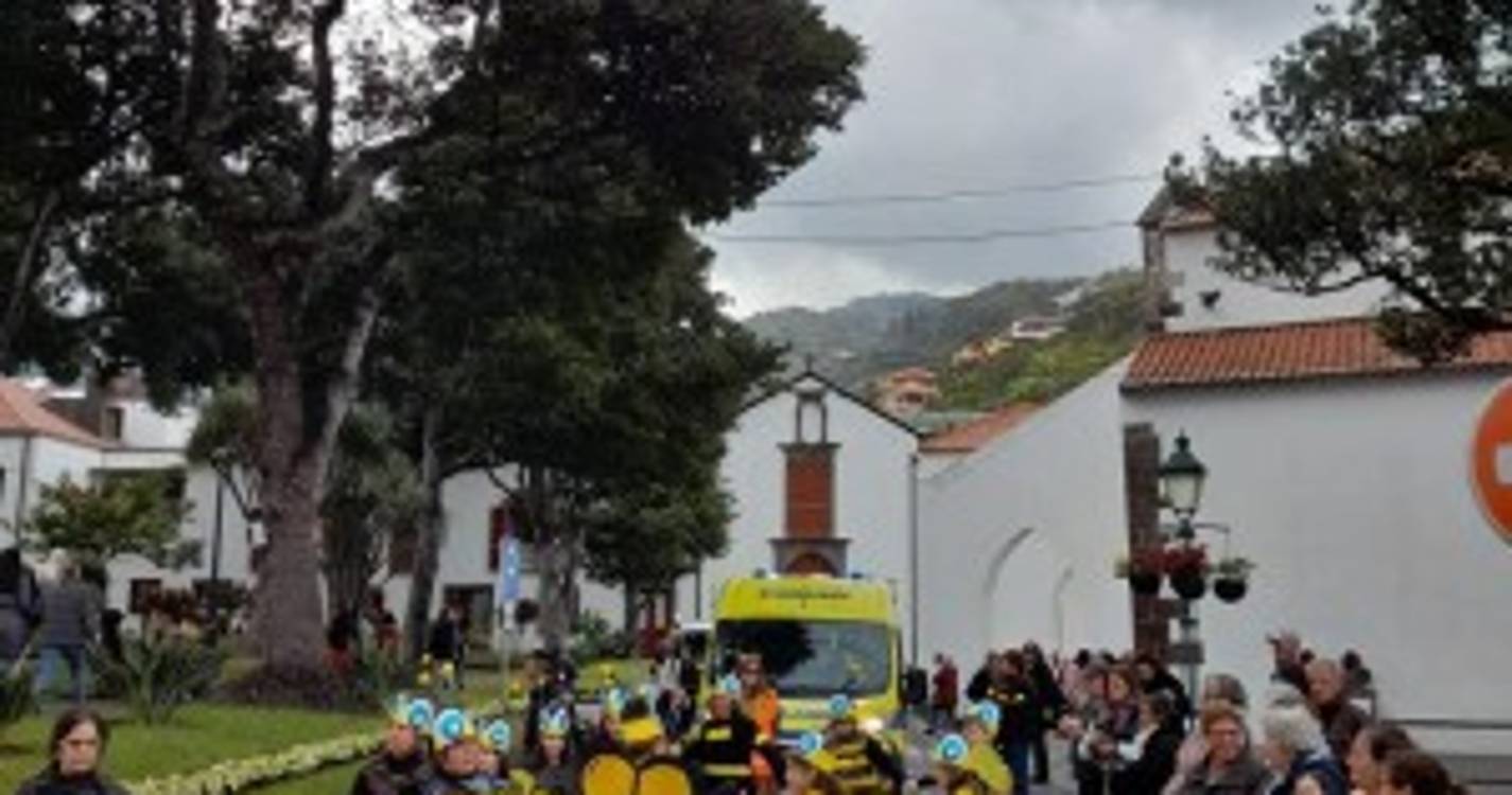 Veja como foi o desfile de carnaval das escolas em Santa Cruz (com fotos)