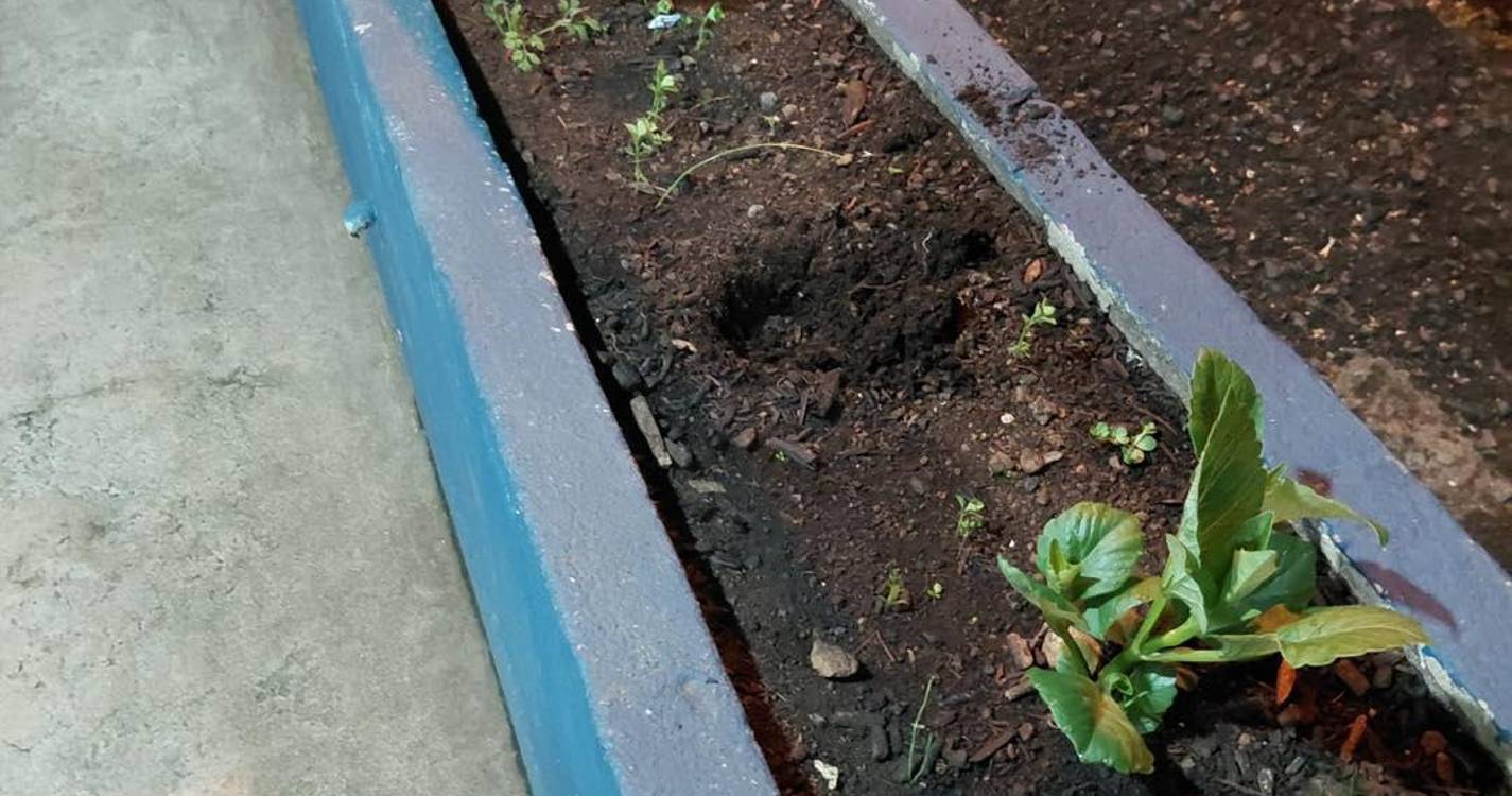 Junta de Freguesia da Camacha denuncia atos de roubo e vandalismo