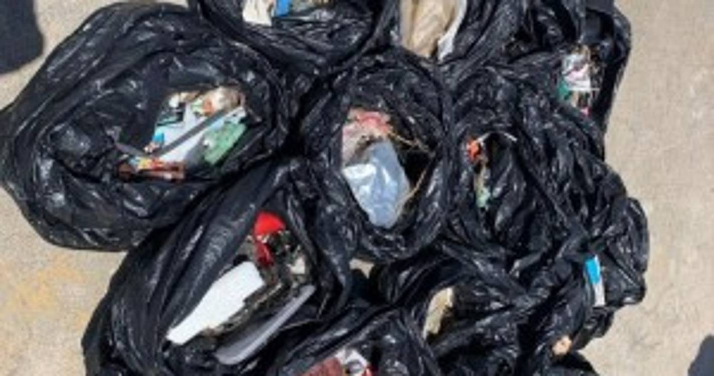 Dia Trivalor para a Biodiversidade promoveu ação de limpeza na Praia do Porto Santo