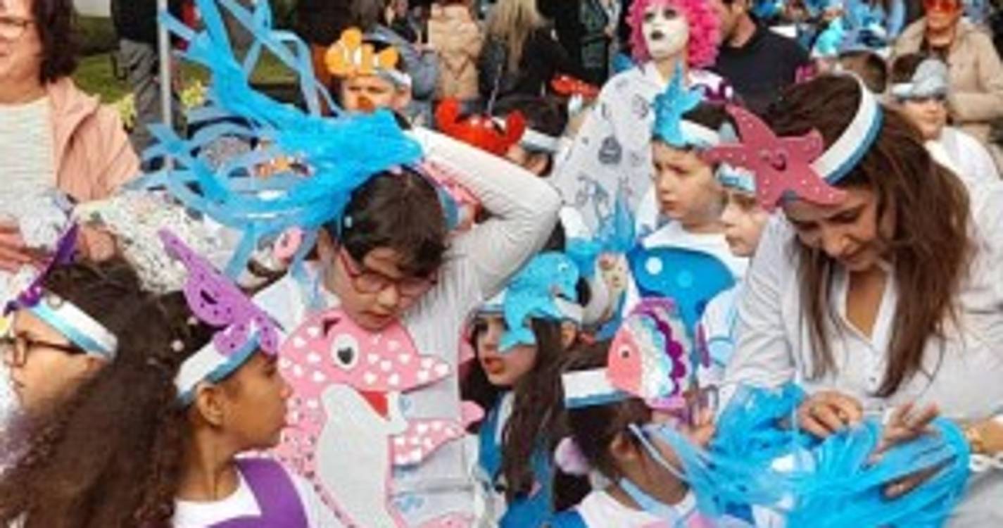 Veja como foi o desfile de carnaval das escolas em Santa Cruz (com fotos)