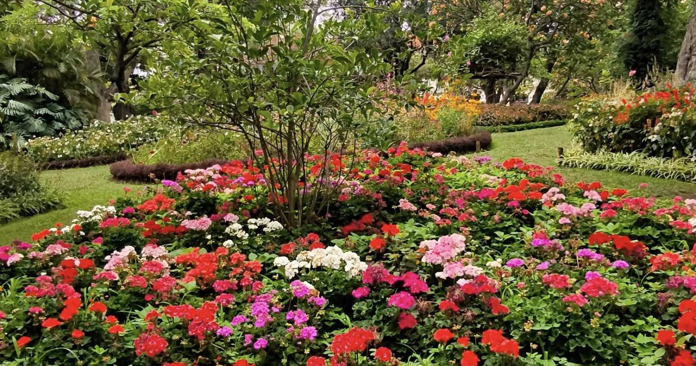 Raimundo Quintal elogia beleza Jardim Municipal do Funchal