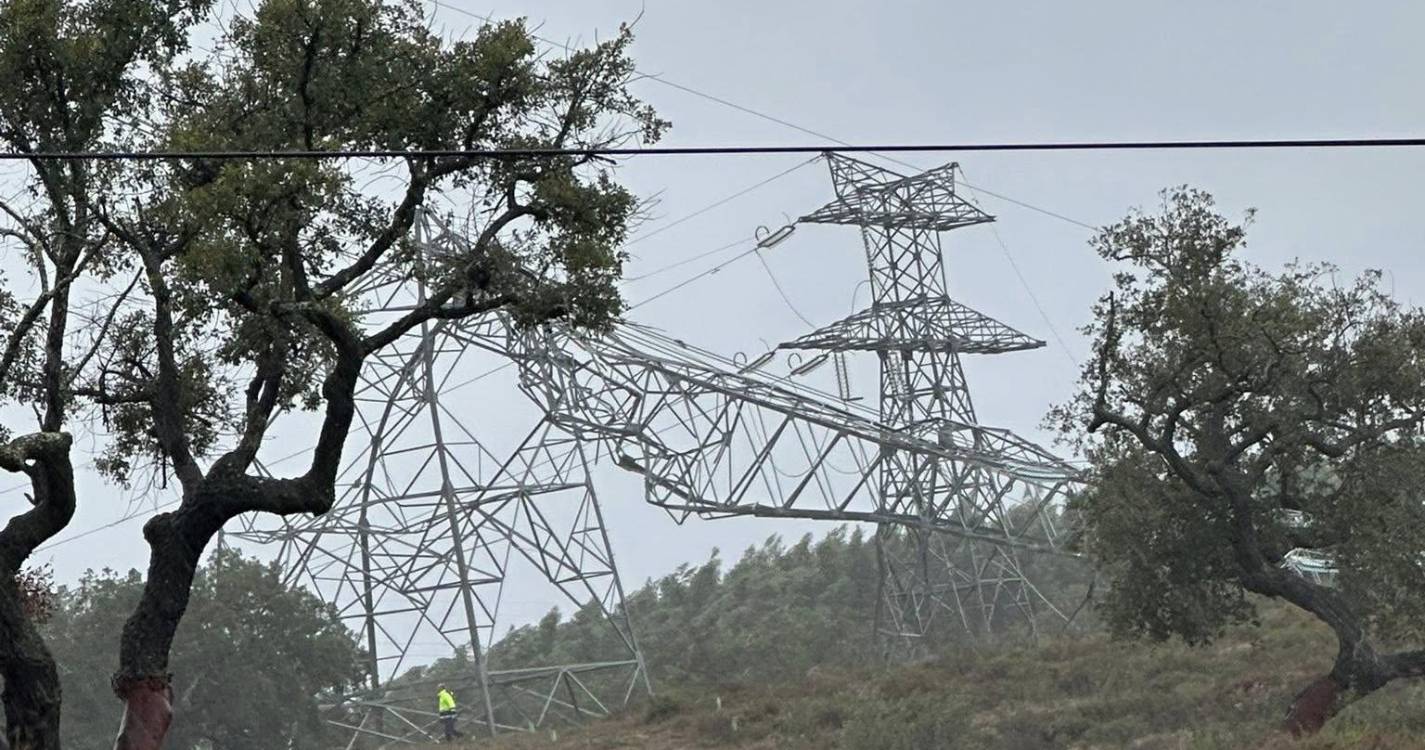 Mau tempo: Tornado afetou 10 casas em Nisa mas sem causar desalojados