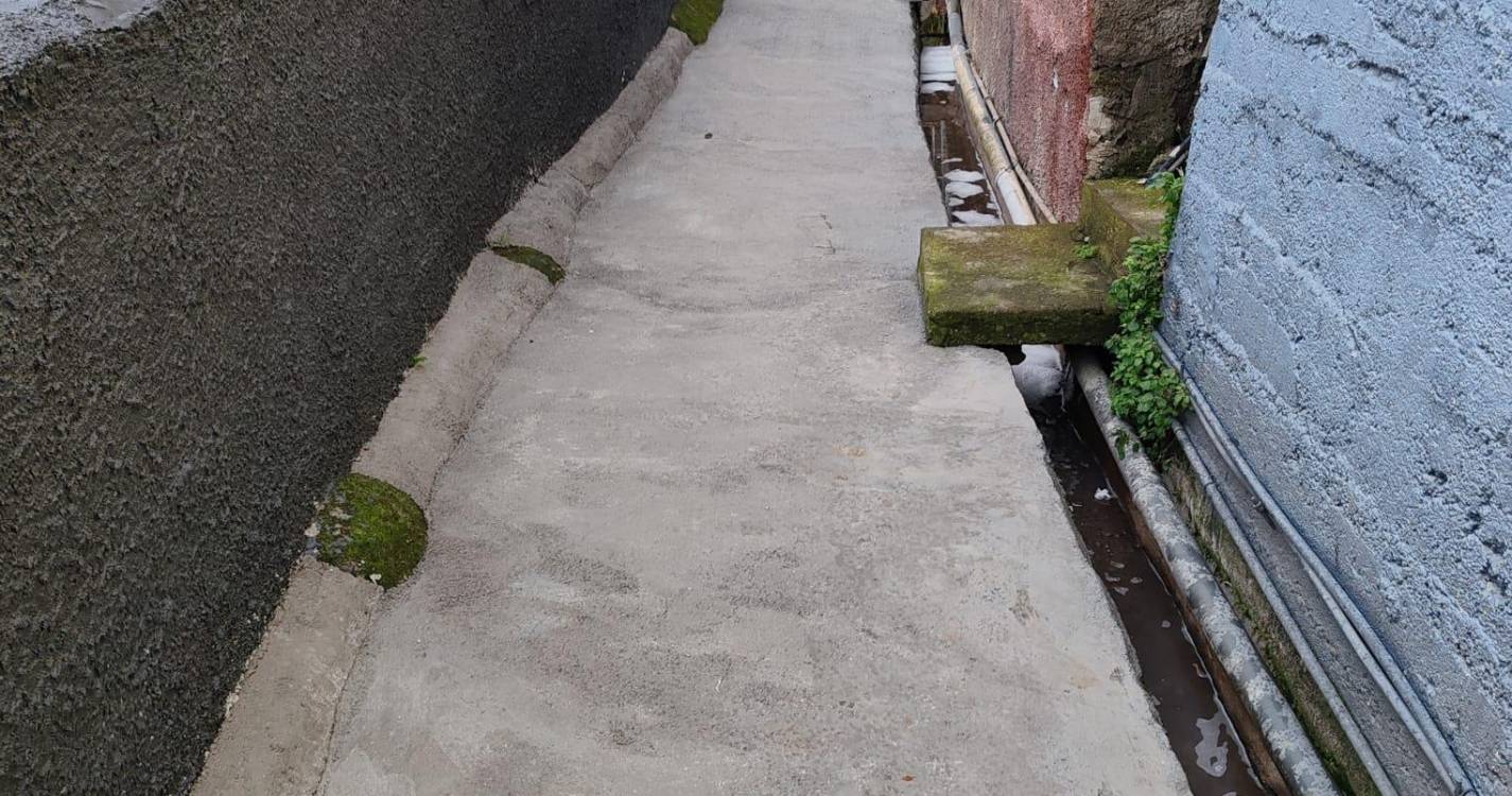 Vereda da Levada da Rocha alvo de melhoramentos