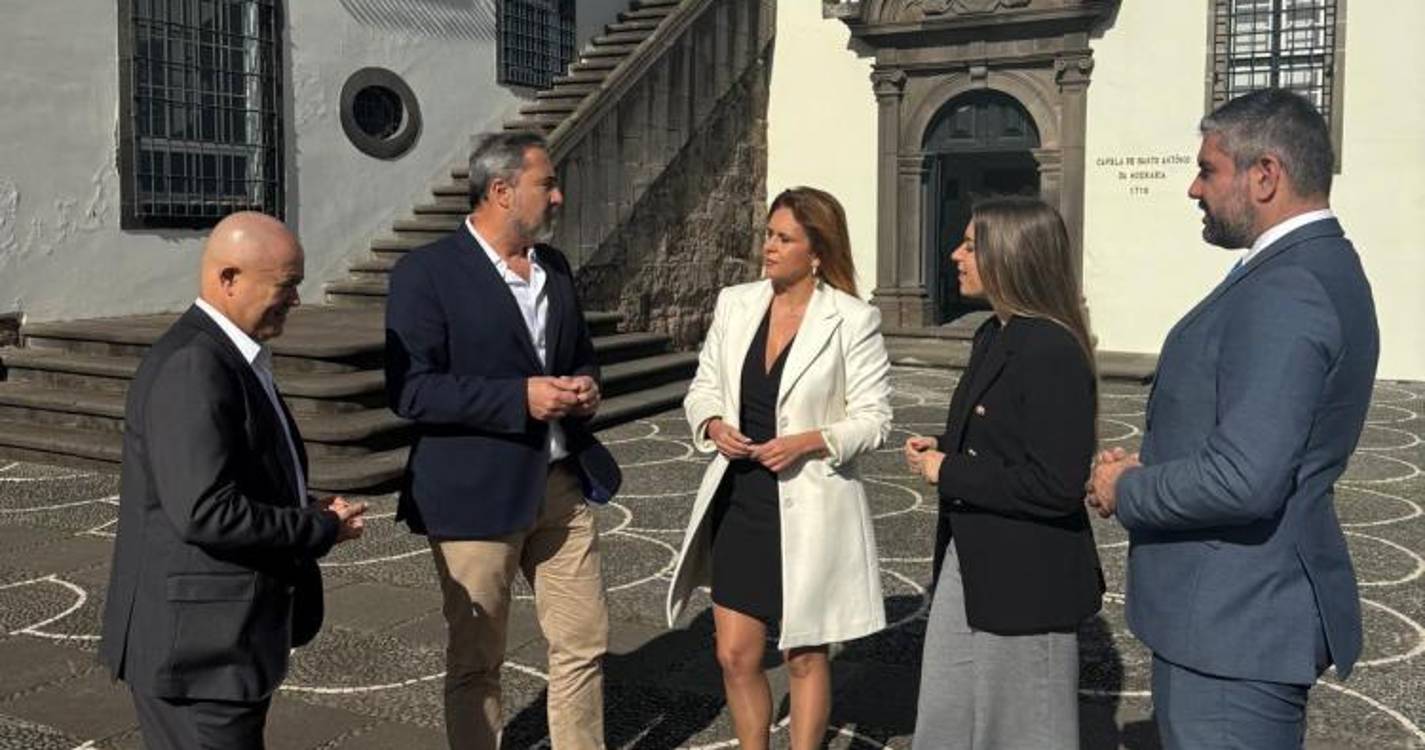 Chega exige resposta imediata de Rafaela Fernandes sobre apoios prometidos aos produtores de castanha