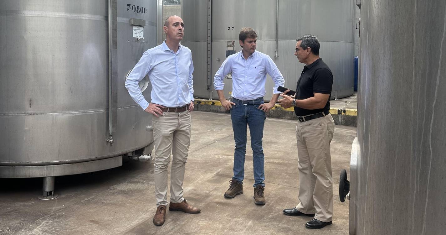 IVBAM acompanha início das vindimas