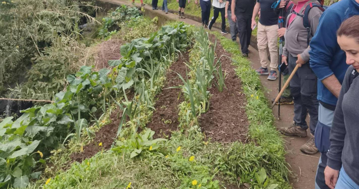 Clube de Campismo da Madeira promove caminhada em Machico
