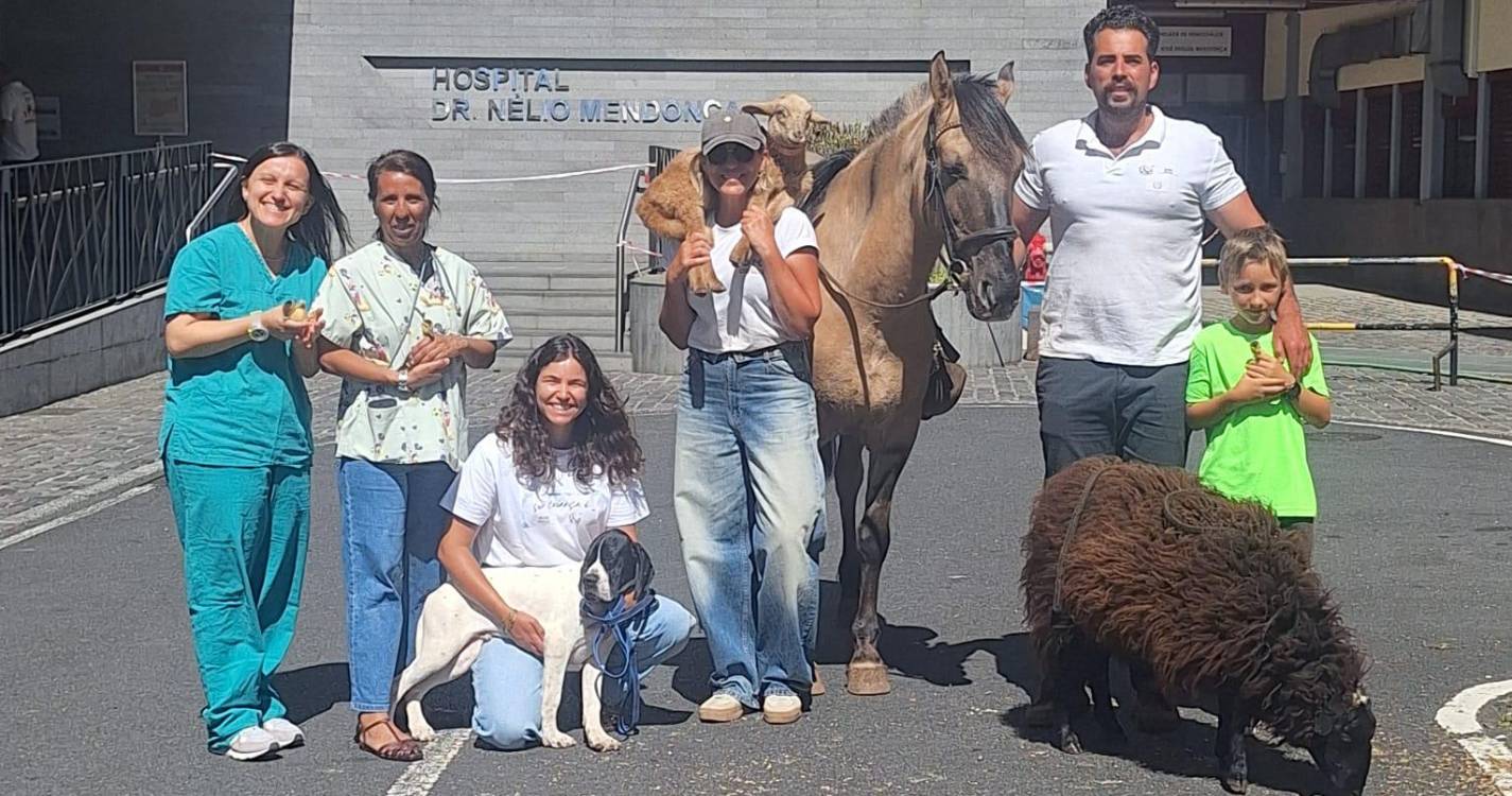 Quinta da Caldeira leva animais ao encontro das crianças no Hospital Dr. Nélio Mendonça