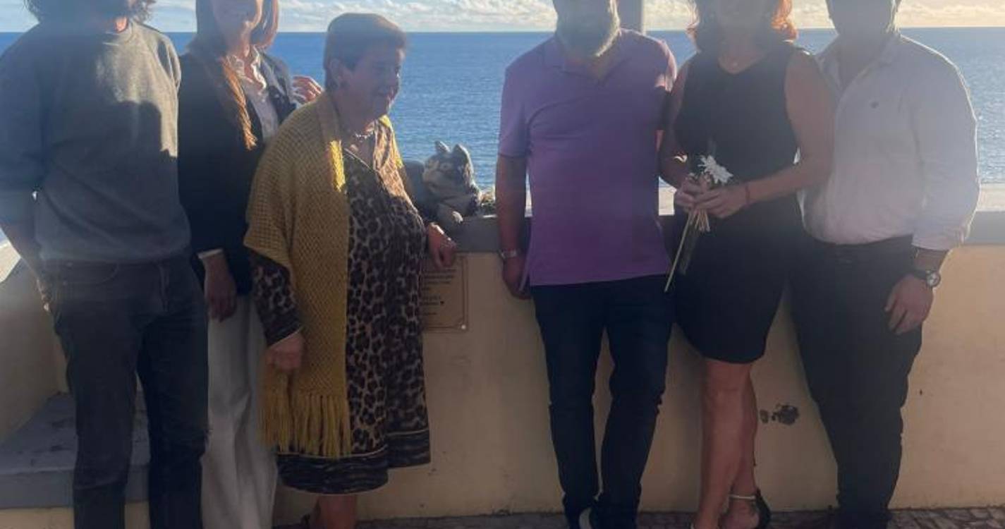 Gato Jackson eternizado na Barreirinha (com fotos)