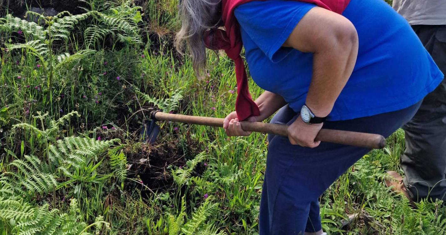 Irmãs Hospitaleiras plantam 100 árvores no Parque Ecológico