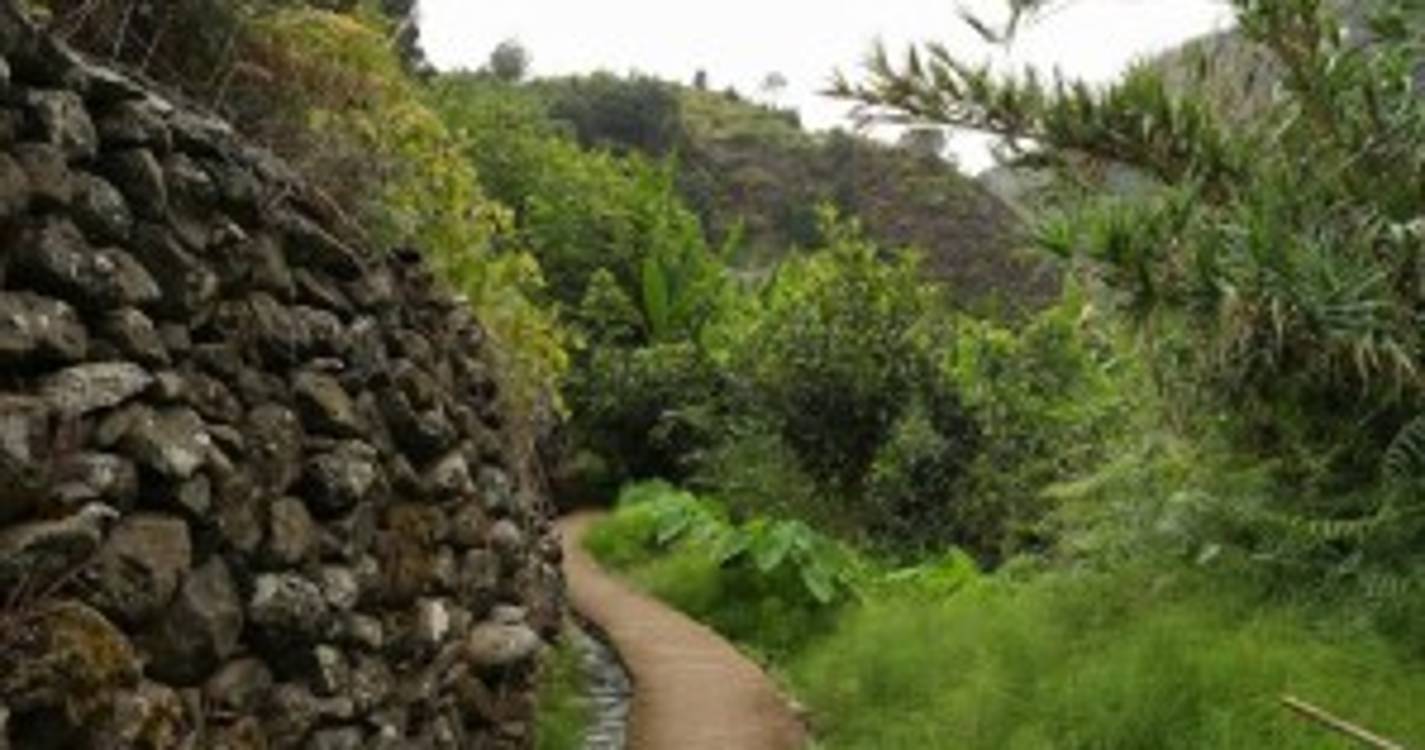 Poço e cascata em pleno coração de São Roque do Faial por descobrir (com fotos)