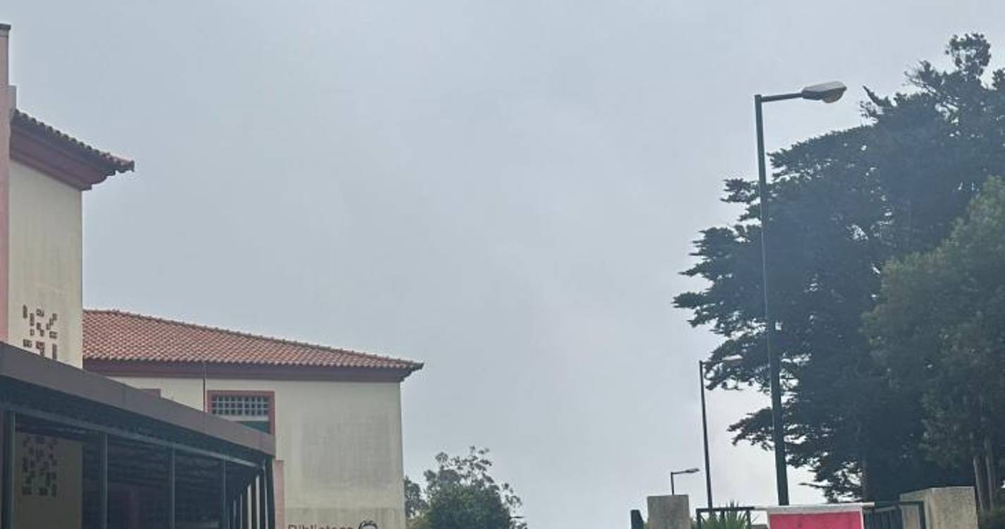 Alegados transportes ilegais de eleitores na Camacha dão queixa na CNE