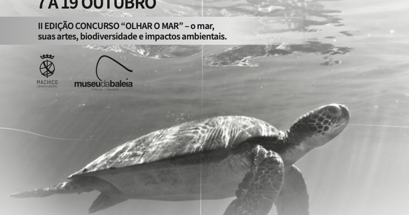 Museu da Baleia leva exposição ‘Olhar o Mar’ até ao MadeiraShopping